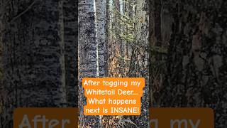 You wont believe what happened after I tagged my 2025 Alberta Whitetail Deer... #shorts #hunting
You cant make this stuff up!
I tagged my 2025 Alberta Whitetail Buck and what happens next is absolutely INSANE and UNBELIEVABLE!
๐Watch the full-length video: https://youtu.be/pd2OxCvFHSU
This channel is a relatable, family-friendly Alberta outdoors channel that shows real adventures, real gear, and real struggles โ not just highlight reels.
๐จSUBSCRIBE TODAY๐จ
#hunting #deerhunting #albertahunting #canadahunting #whitetailhunting #WhitetailDeer #albertaoutdoors #dcoutdoors You wont believe what happened after I tagged my 2025 Alberta Whitetail Deer... #shorts #hunting