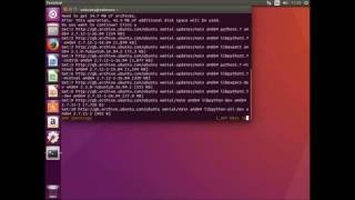 install virtualenv ubuntu