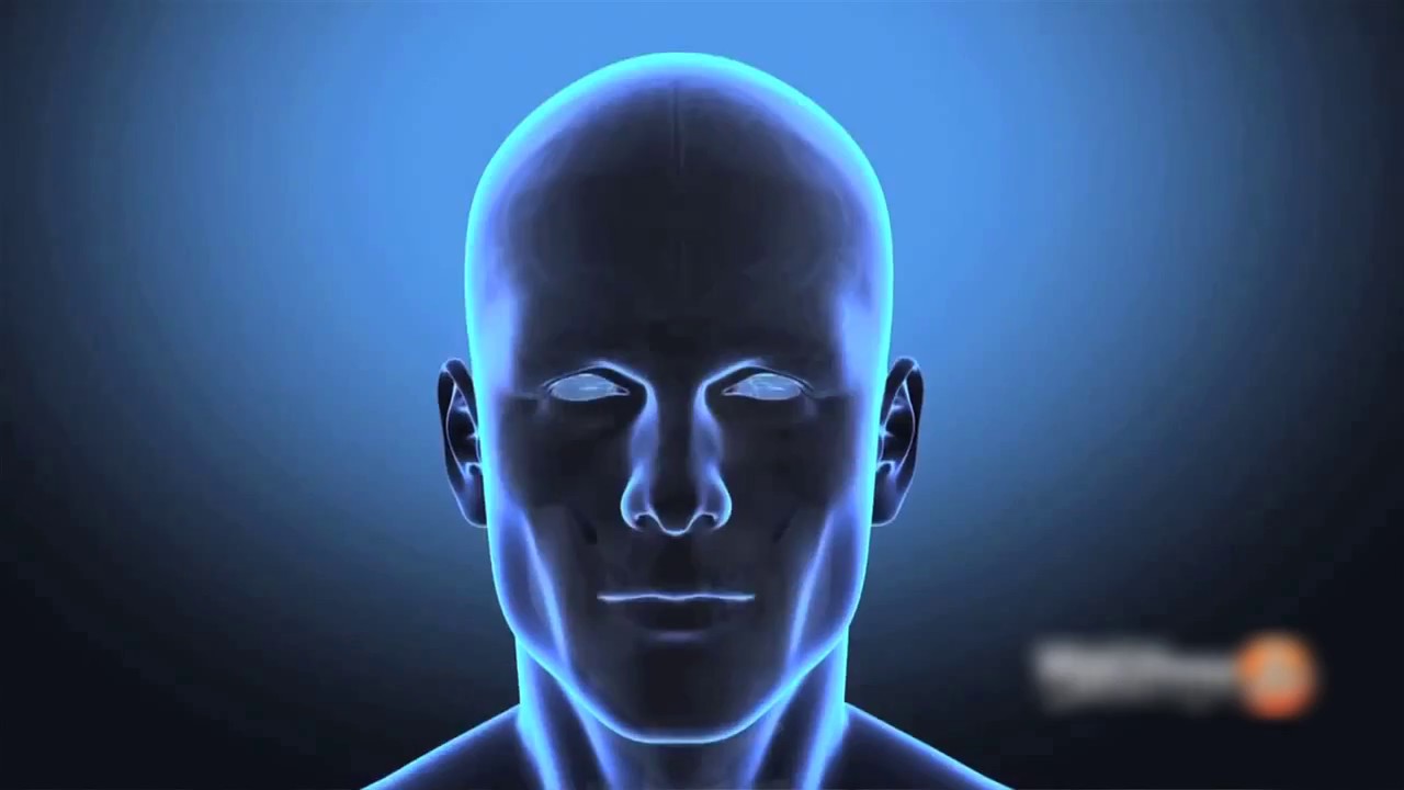 NUESTRO CUERPO PRODUCE SU PROPIO CANABINOIDE