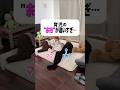 【みんなはどっち派?】育児の余裕がちがいすぎる。😱#shorts #夫婦