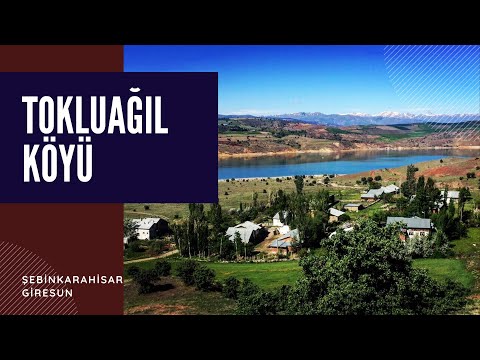 Tokluağıl Köyü/Karlı Yollar
