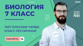 Тип Плоские черви. Класс Ресничные. Урок 6. Биология 7 класс