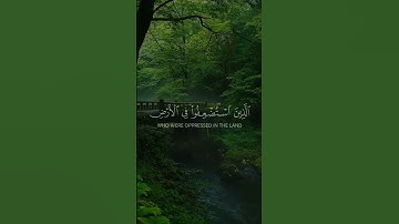 تلاوة خاشعة المنشاوي - القصص- ونريد أن نمن على الذين استضعفوا في الأرض ونجعلهم أئمة ونجعلهم الوارثين