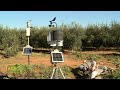 Greenfield: La nueva agricultura digital y sostenible en España (#957 2021-12-11)