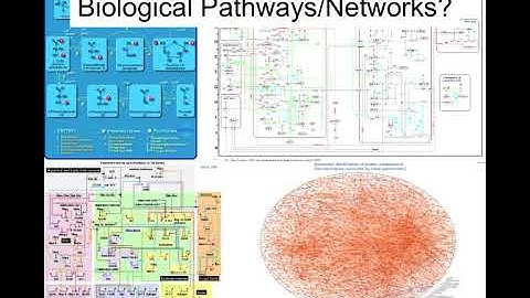 Network Visualization