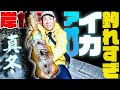 冬の海で大爆釣!岸からアオリイカ&良型ゲット【冬エギング完全攻略】