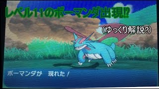 ポケモンサン ムーンでレベル11のボーマンダ出現 ゆっくり実況解説 Youtube