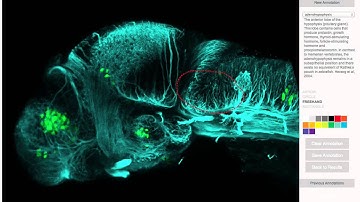 paper js annotation demo