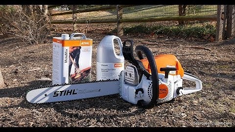 Chainsaw Basics + Safety Tips