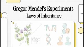 bf5c11: Inheritance