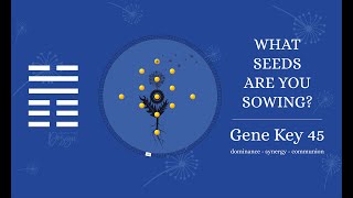 Archetype 45: The Goodwill (Gene Key 45)