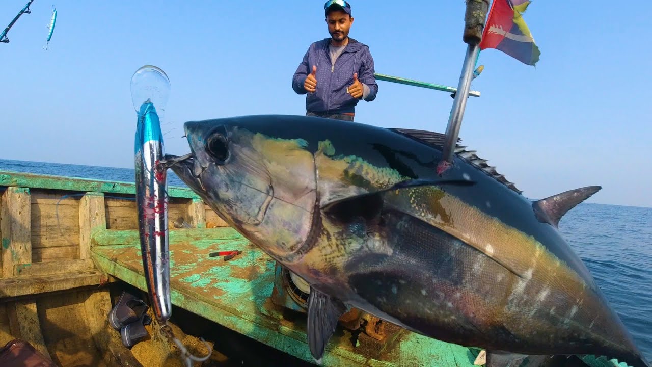 GOT A TASTY DINNER TUNA FISH FISHING AT CHARNA ISLAND 2022 FISHING
