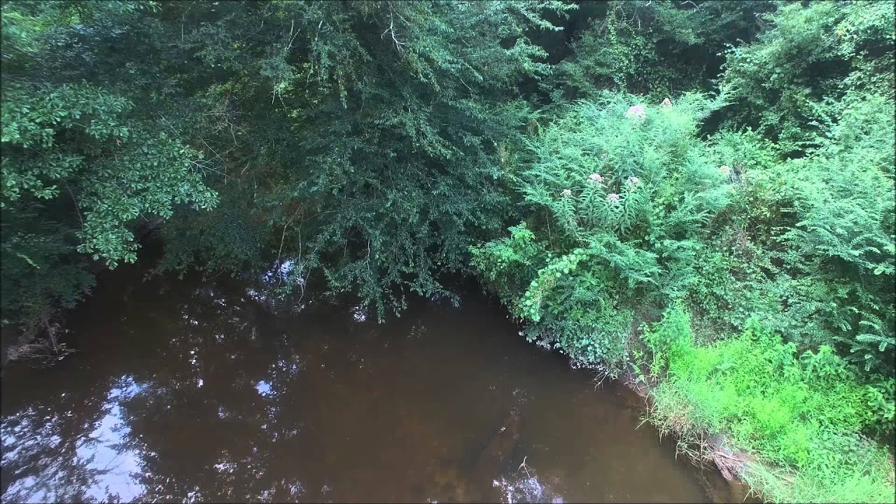 Little Mulberry Creek YouTube