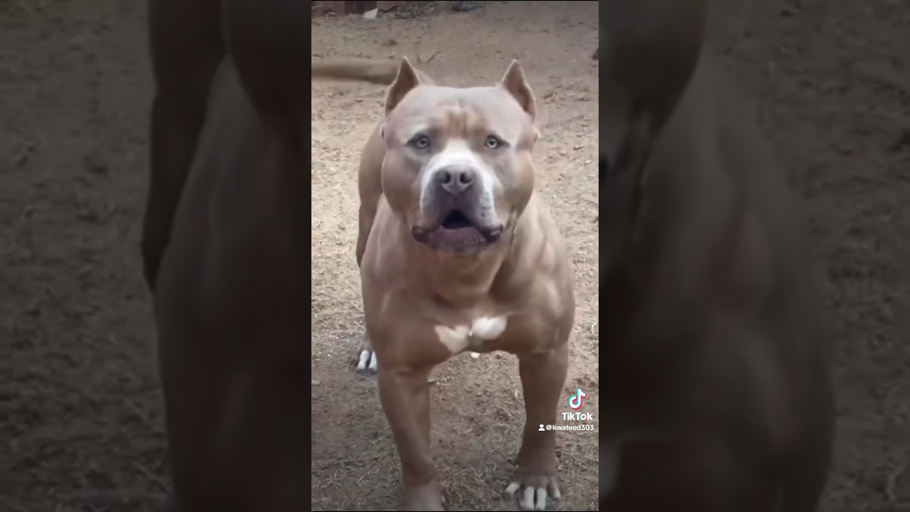 The Most Hilarious Amazon Delivery Stories