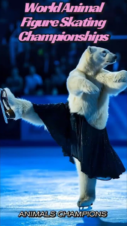 World Animal Figure Skating Championships.white bear, horse and who knows?