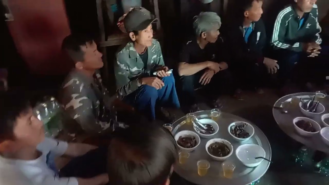 Hnub no peb cov tub nyab ntxhais Vauv muab ib Tus nyuj los ua Kev zoo siab rau peb pog nom Xob xyooj