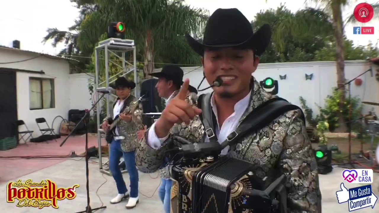 (Huapango palo verde- agua de las verdes matas )Los Grandes potrillos del Bajío en vivo”2020