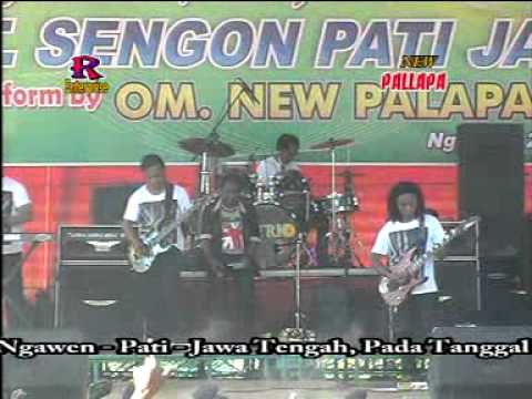 KURANG GARAM NEW PALLAPA live pati
