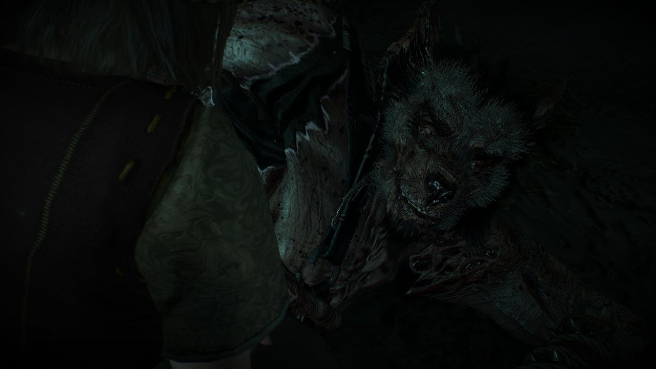 Witcher 3: Wild Hunt - Velen Side Quest: Wild at Heart