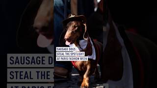 Sausage Dogs Steal The Spotlight At Paris Fashion Week