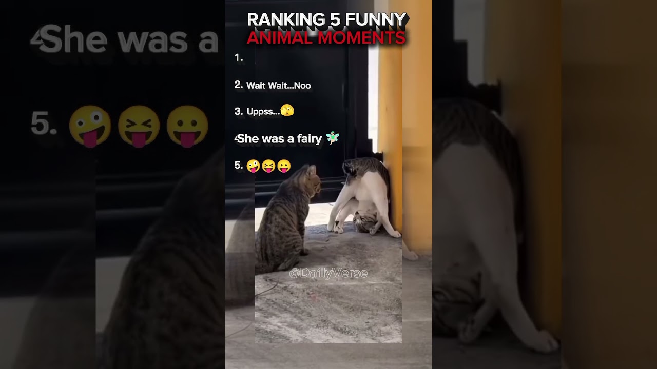 WAIT TILL THE END😭🤣