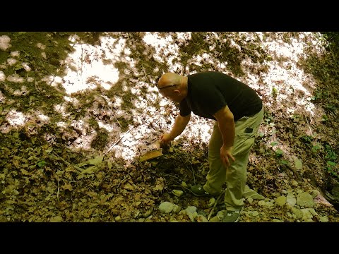 უძველესი წყლის შემკრები აუზი თელავში