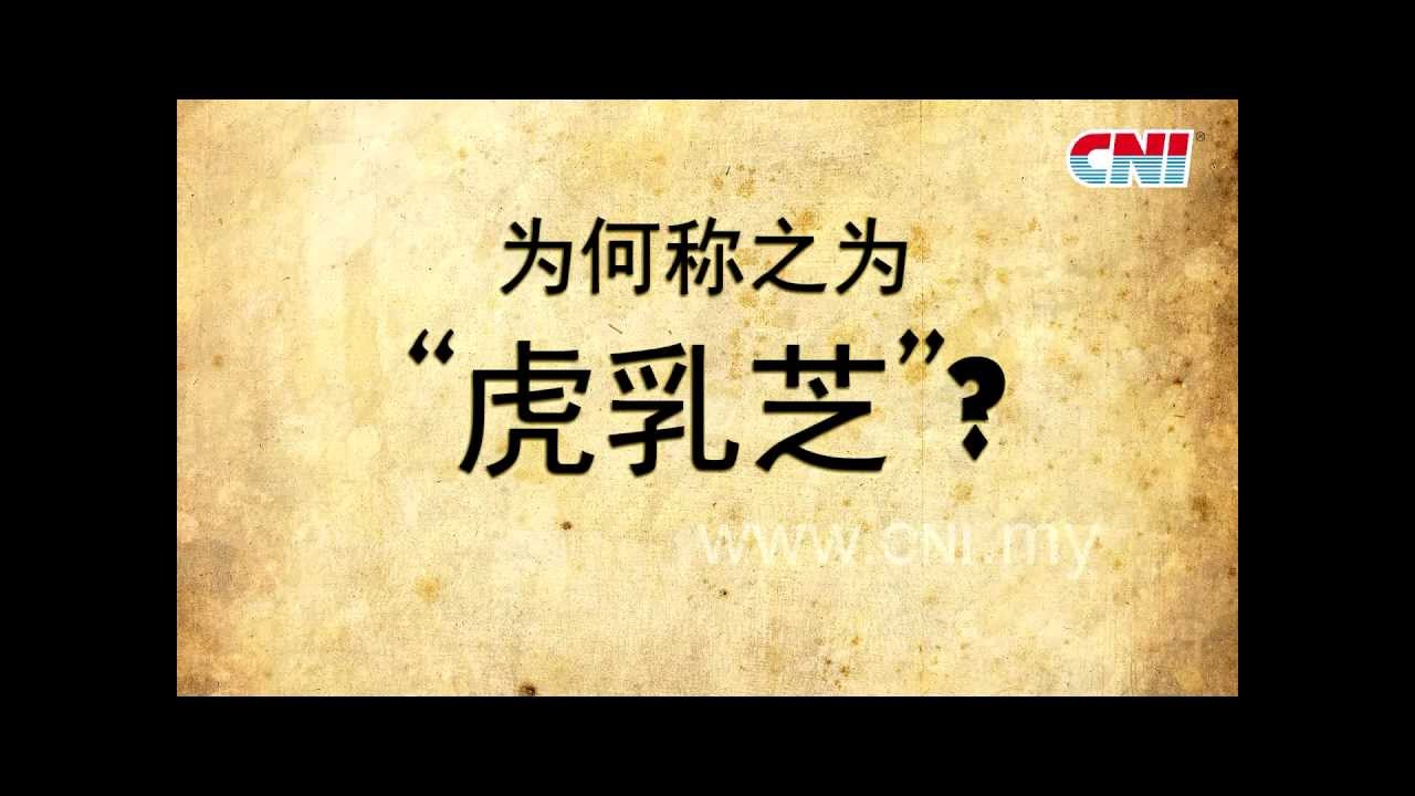 飞伦敦，赢金牌竞赛