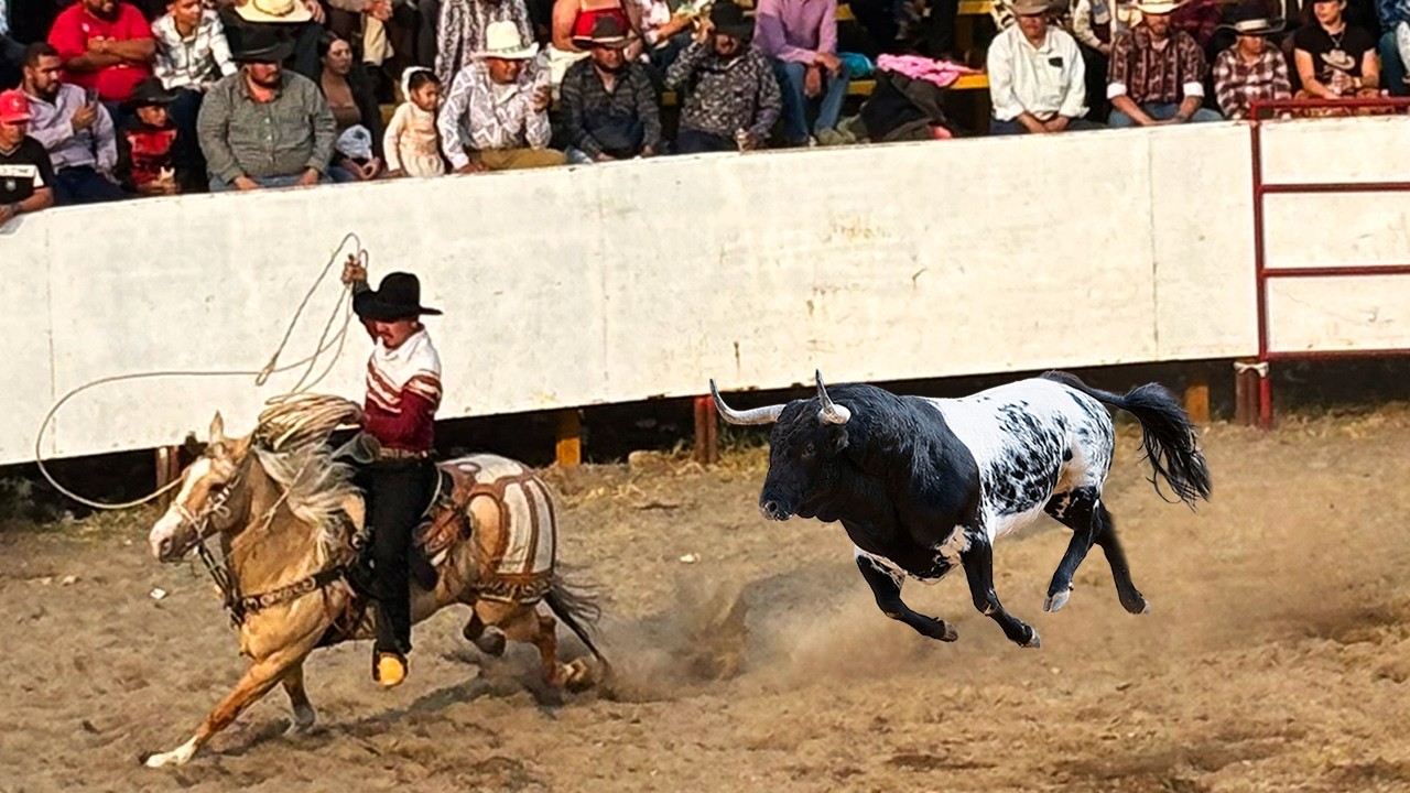 ¡¡CON LO MEJOR DE SUS CORRALES -TOROS BRAVOS BUSCA CABALLOS!! JARIPEO EN LAS TROJES MICHOACAN 2026
