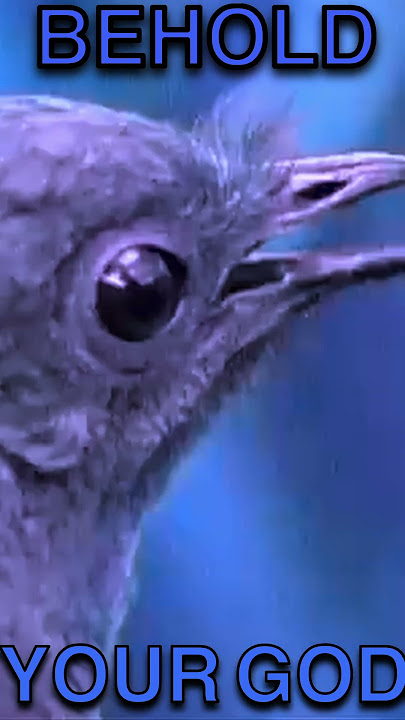 [Re-Creating] CHIDORI - But it's made out of Birds