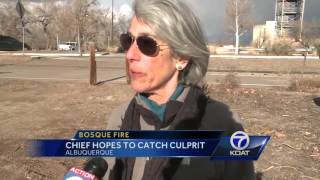 Chief hopes to catch Bosque firebug