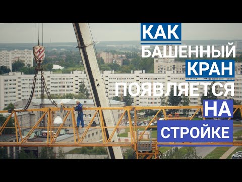 Как башенный кран появляется на стройке. How a tower crane appears at a construction site.