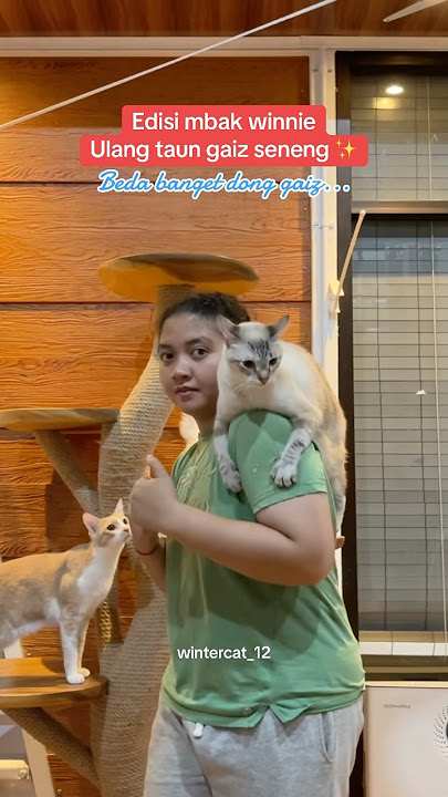 Part1 Besbi besbi tuyu mbakk winnie #kucinglucu #kucingpinter #catlover #trending #shorts #kucing