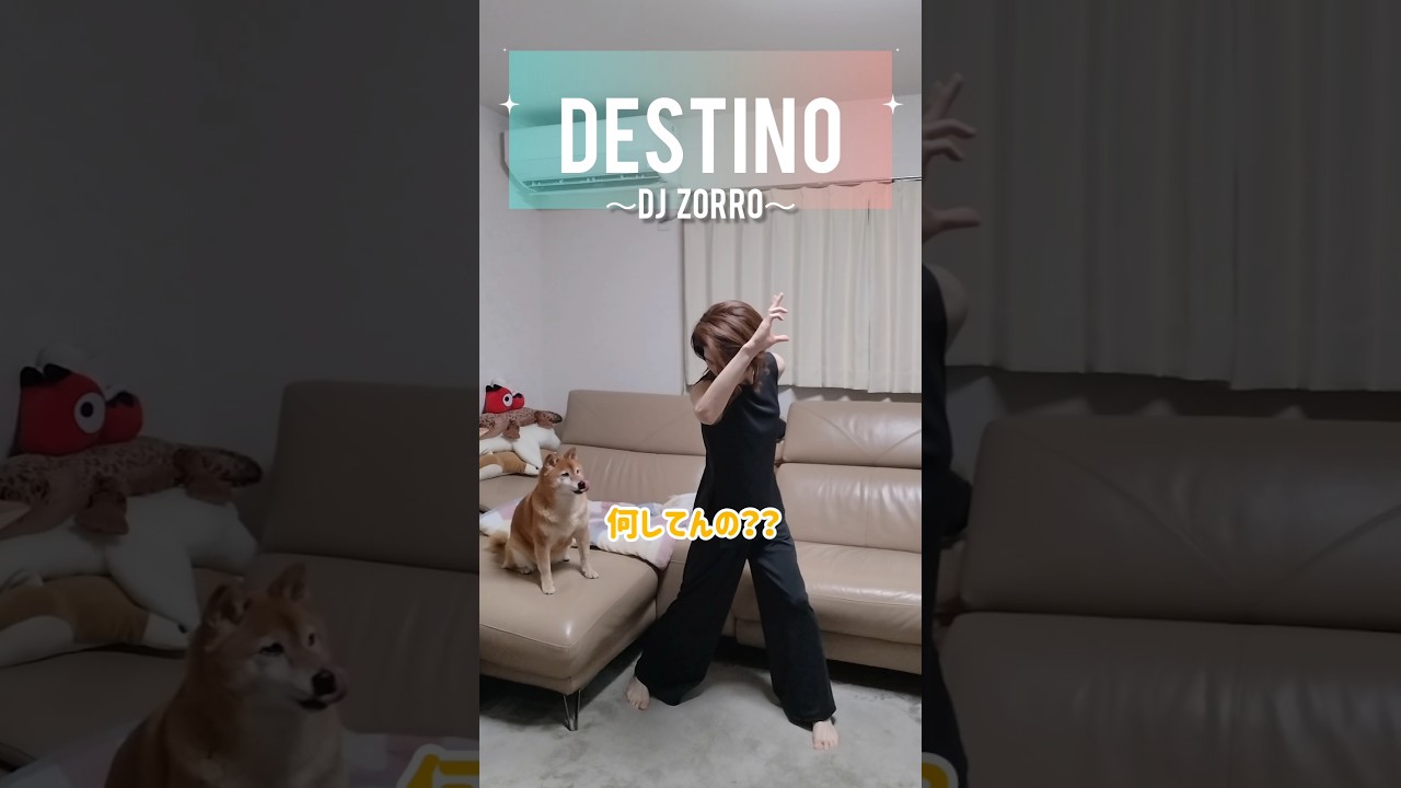 #shorts テクノって楽しい♪ #踊ってみた #dance #techno #柴犬 #dog #enjoy #destino