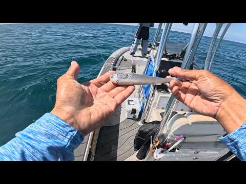 Epic Half Day of Saltwater Bass Fishing - 71 Calicos & Sand Bass