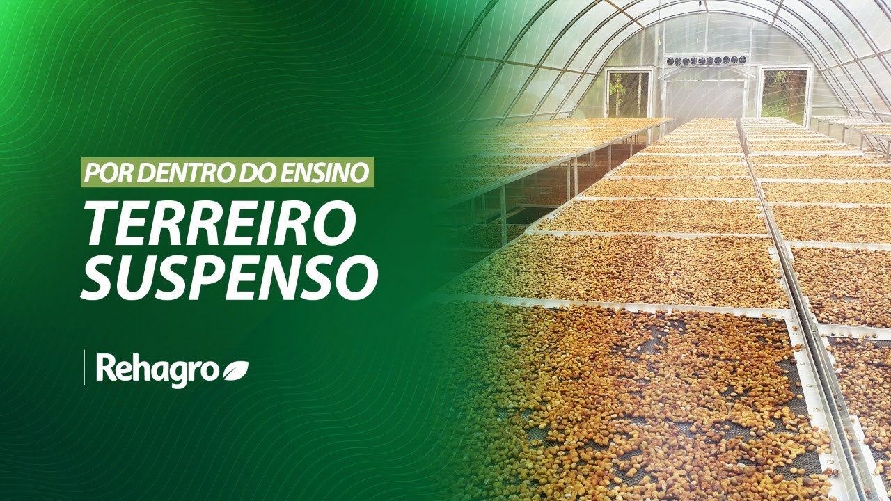 TERREIRO SUSPENSO: COMO FAZER DE MANEIRA ADEQUADA | Por Dentro do Ensino - Café