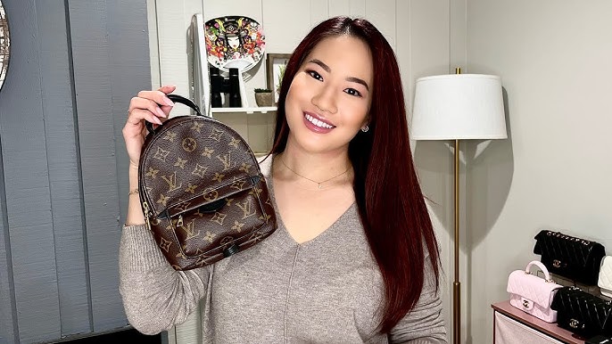 LV Palm Springs MINI BACKPACK - POSITIVES, NEGATIVES, WHAT FITS!! 