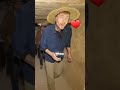 مستر بيست في الاهرامات Mr Beast In The Pyramids مستر بيست في الاهرامات Mr Beast In The Pyramids