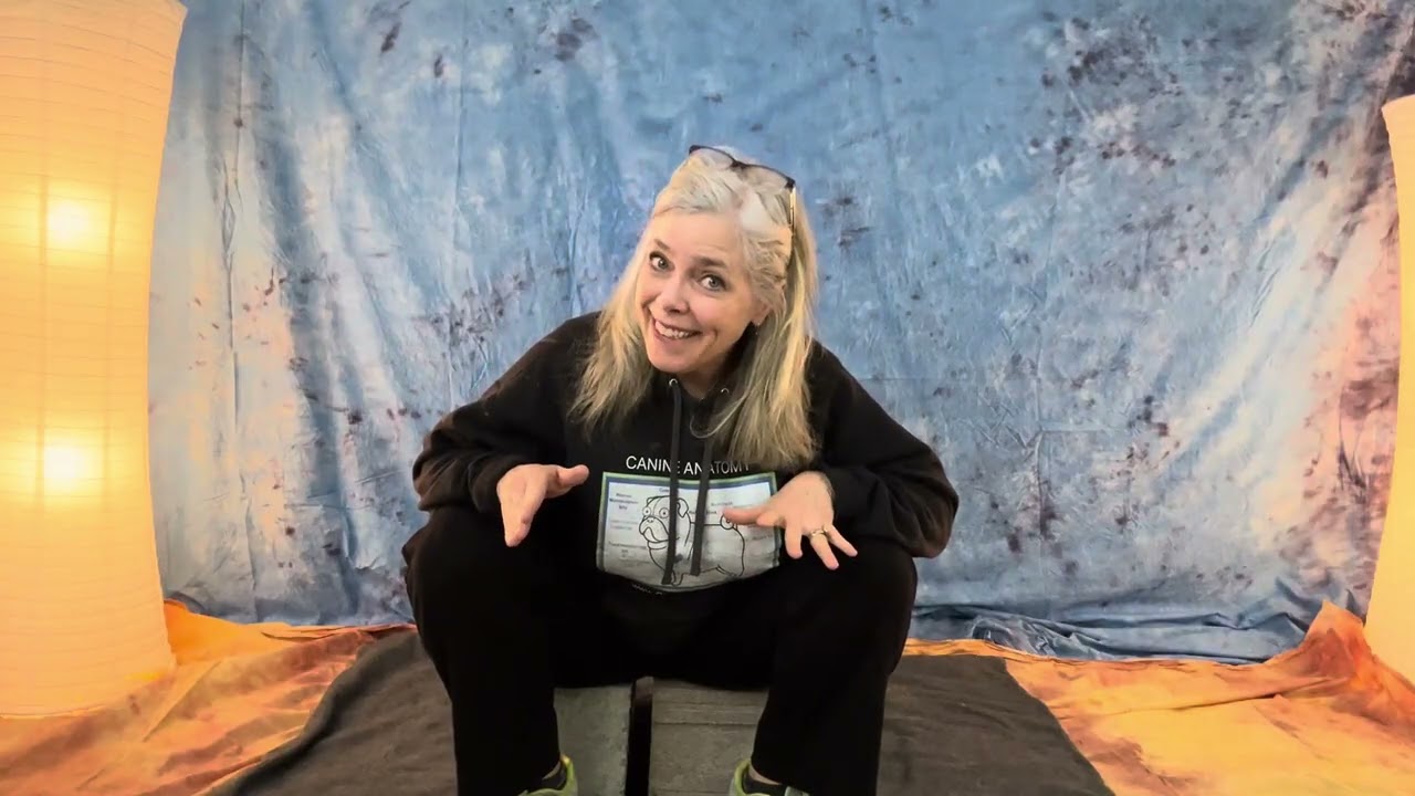 FourLegRehabMinute-WhataGoodSitTellsYou