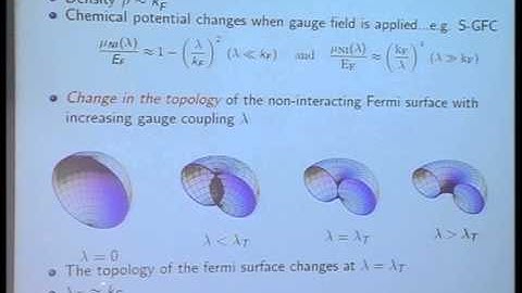 V B Shenoy - Fermions in synthetic non-Abelian gauge fields