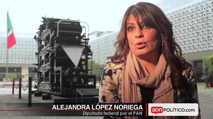 PERFIL: La diputada Lpez Noriega, de las duelas de...