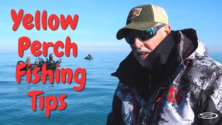Yellow Perch Fishing Tips