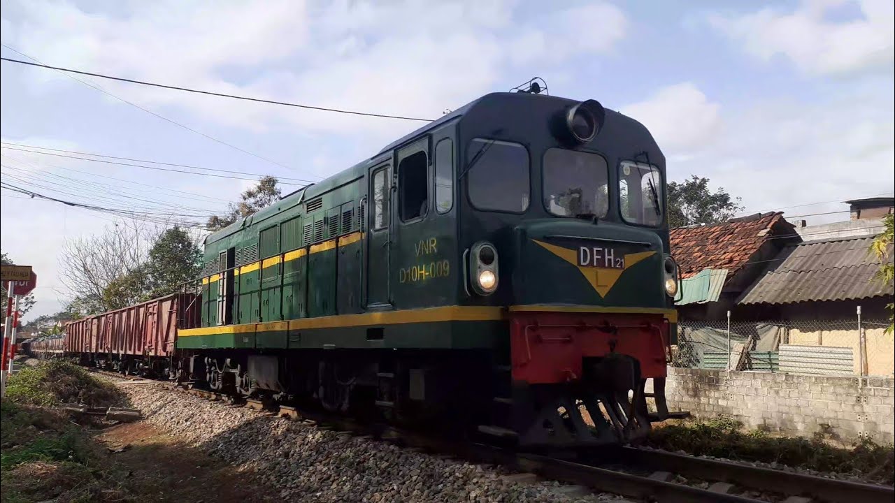 Đầu máy D10H 009 kéo tàu hàng về ga Phố Lu