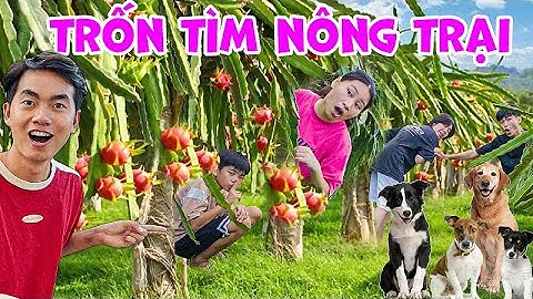 Thái Chuối Thử Thách Trốn Tìm Đuổi Bắt Trong Nông Trại Khổng lồ