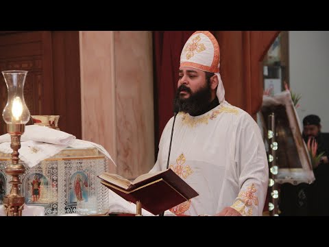 قداس صوم السيدة العذراء ابونا لوقا القمص شاروبيم