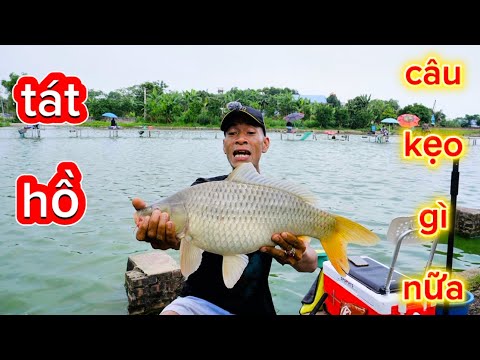 Tát Hồ Chứ Câu Kẹo Gì Nữa