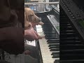 Rising pianist