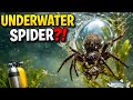 This Spider Lives Underwater...Here's How!
