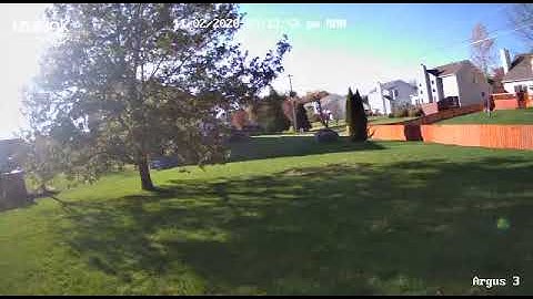 Reolink Argus 3 Camera – Sample Footage (Yard Daytime Windy)