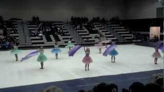 Pelham High School Junior Varsity Winterguard 2012