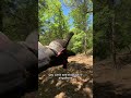 Extreme Hillside Land Clearing: Turning Dense Cedar into Fine Mulch